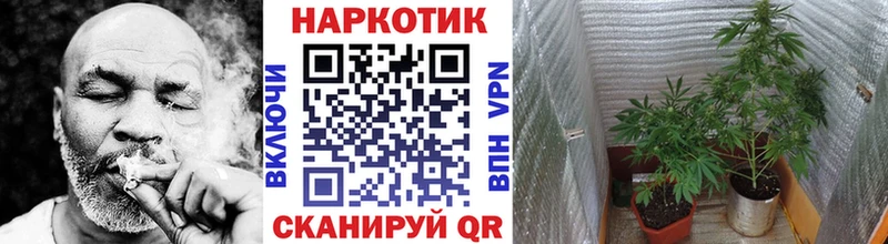 Где продают наркотики Яхрома COCAIN  Меф мяу мяу  Гашиш  СОЛЬ  Галлюциногенные грибы  МАРИХУАНА  Амфетамин 