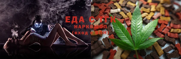 ГАЛЛЮЦИНОГЕННЫЕ ГРИБЫ Гусев