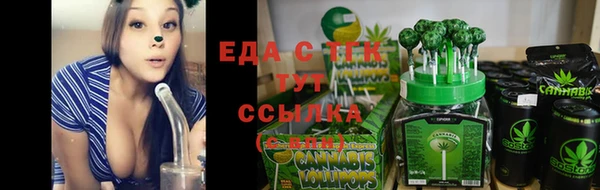 ГАЛЛЮЦИНОГЕННЫЕ ГРИБЫ Гусев