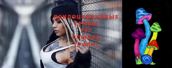 ГАЛЛЮЦИНОГЕННЫЕ ГРИБЫ Гусев