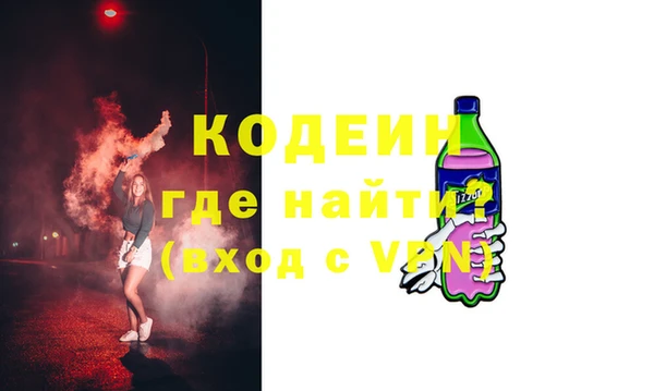ГАЛЛЮЦИНОГЕННЫЕ ГРИБЫ Гусев
