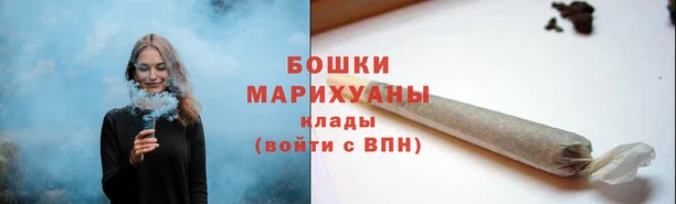 ГАЛЛЮЦИНОГЕННЫЕ ГРИБЫ Гусев