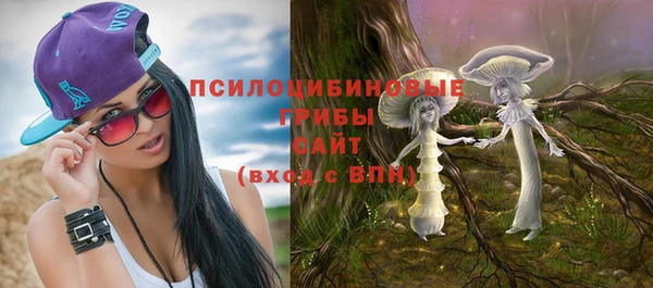 ГАЛЛЮЦИНОГЕННЫЕ ГРИБЫ Гусев