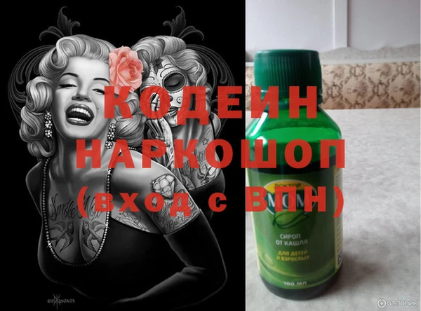 ГАЛЛЮЦИНОГЕННЫЕ ГРИБЫ Гусев