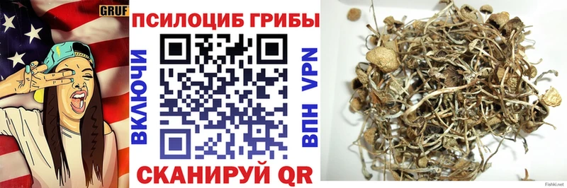 что такое наркотик Яхрома Псилоцибиновые грибы прущие грибы